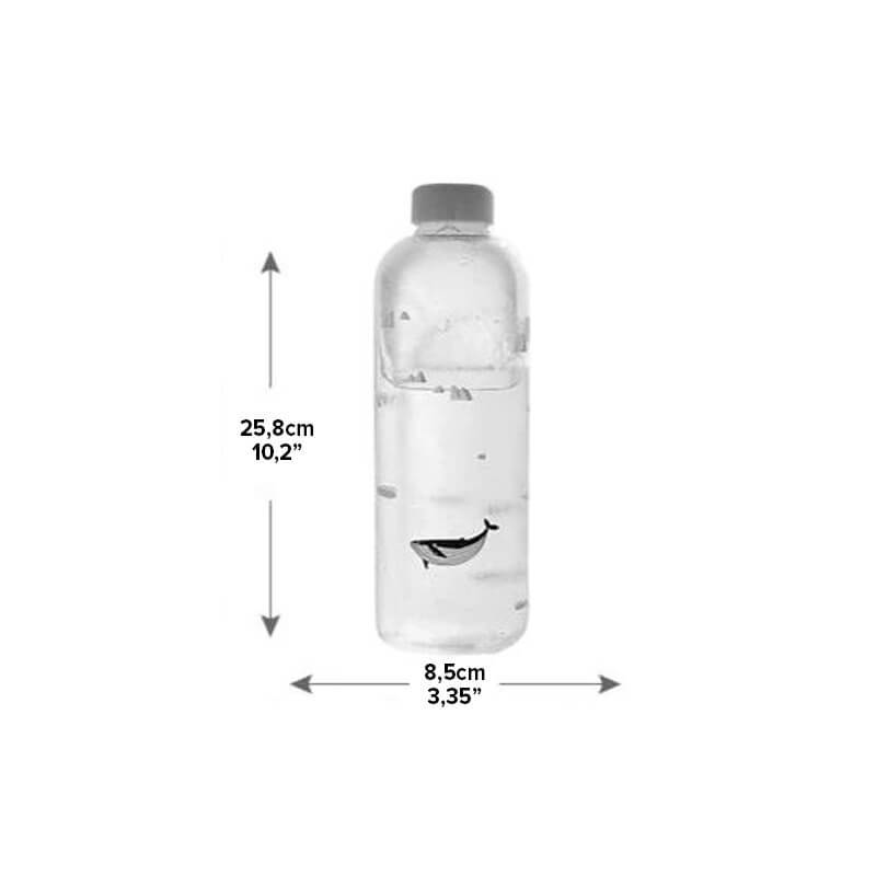 1L Ocean Series Glass Water Bottle