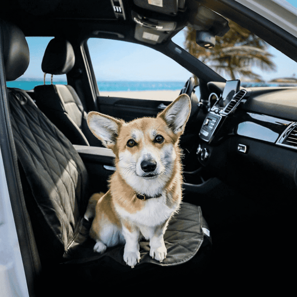 Dog Seat Cover For Car