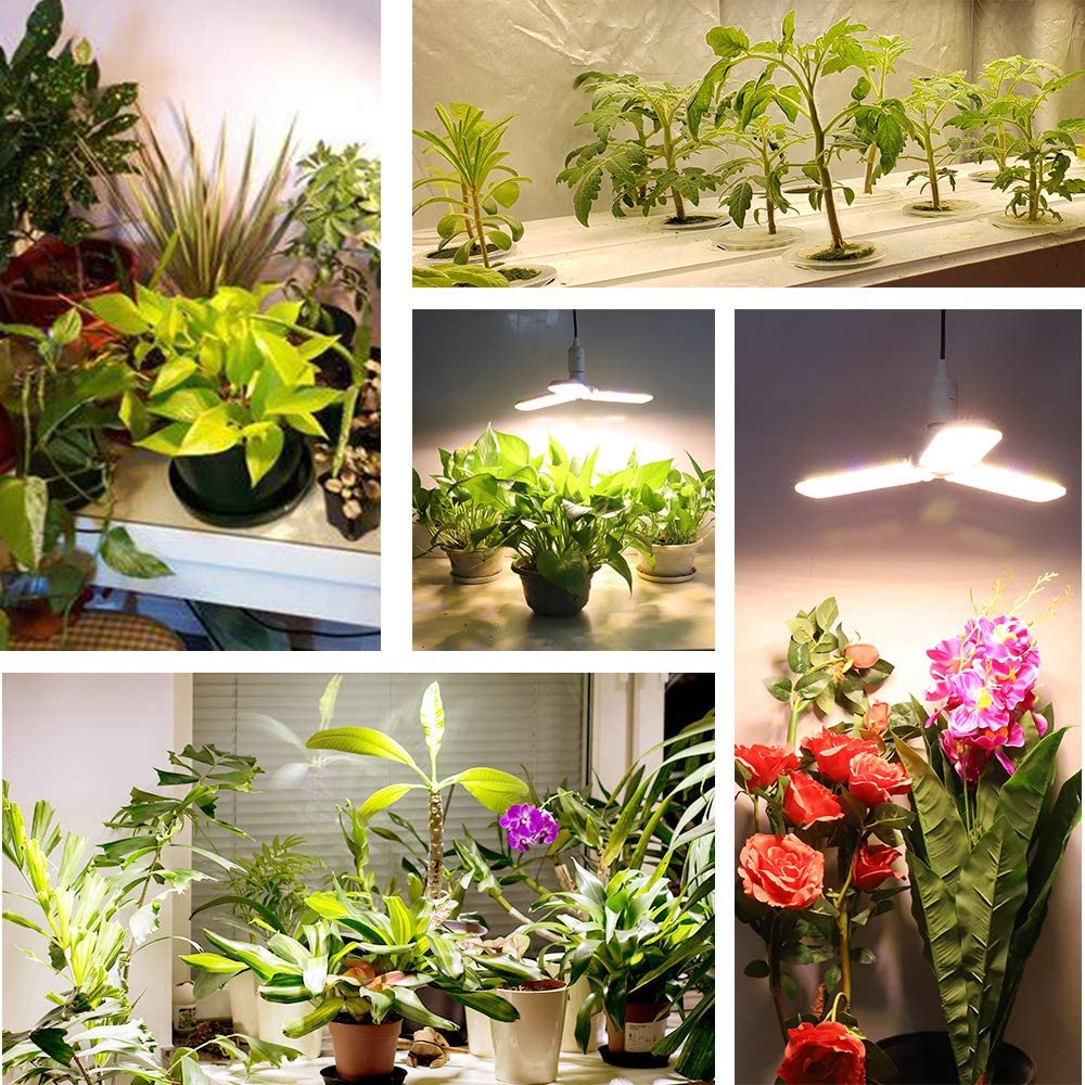 LED Grow Light Bulb