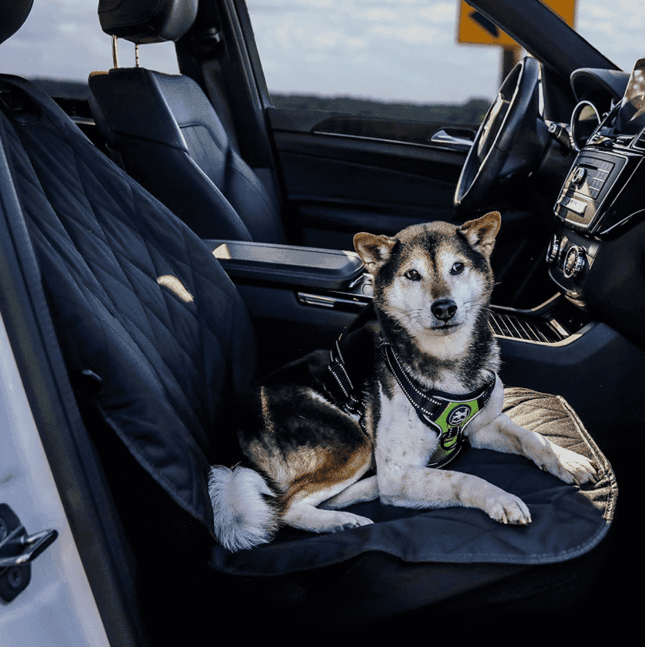 Dog Seat Cover For Car