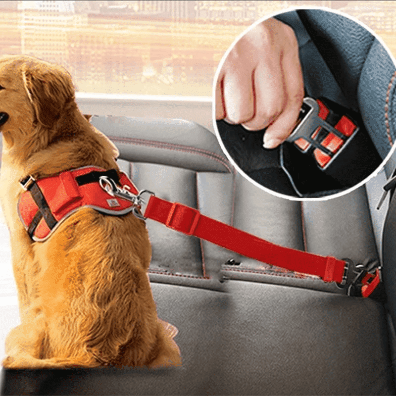 Dog Harness Clip Car Seat Belt