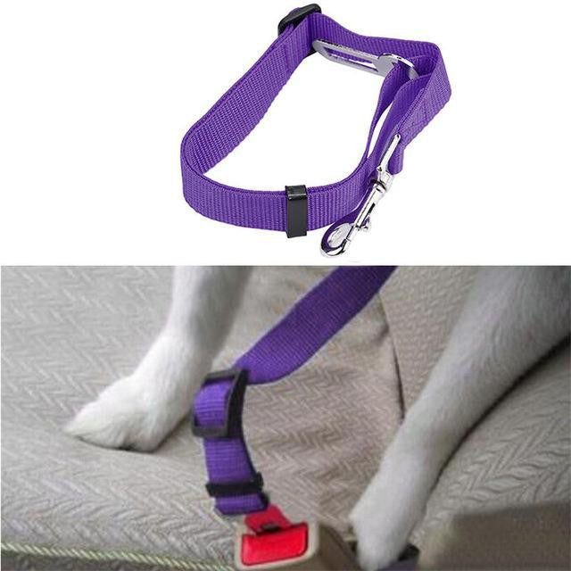 Dog Harness Clip Car Seat Belt