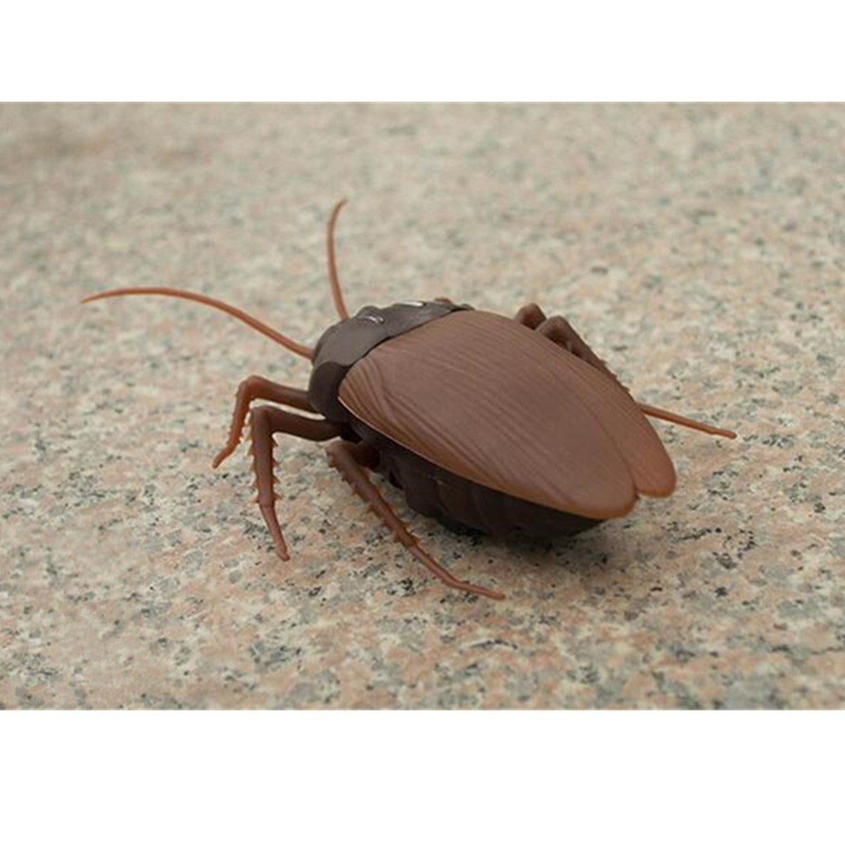 Funny RC Remote Control Cockroach